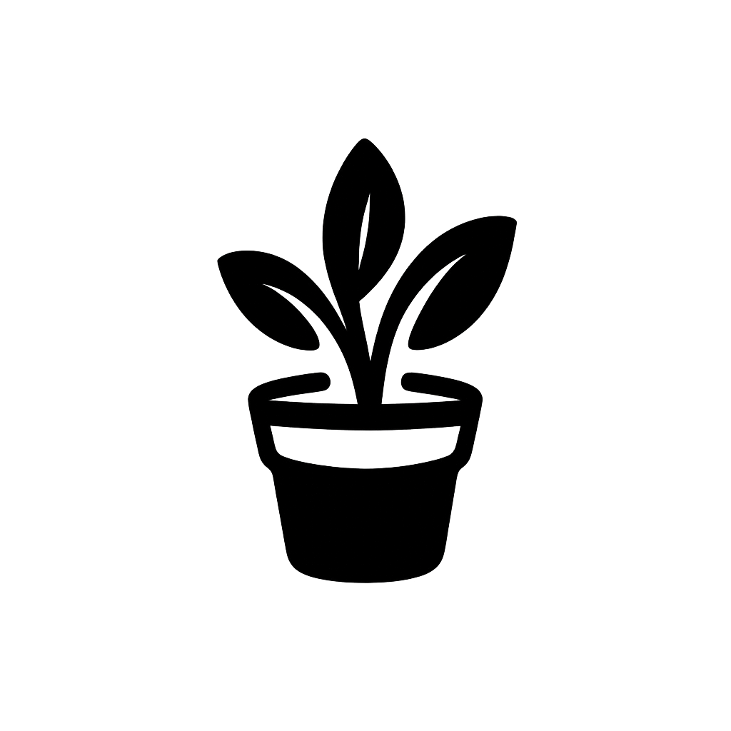 Artist Portfolio